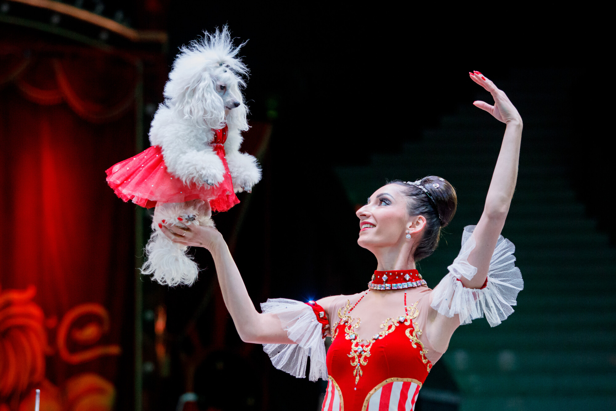 Репортажная фотосъемка в Москве и регионах. Цирк. Фотограф Виктор Боровских