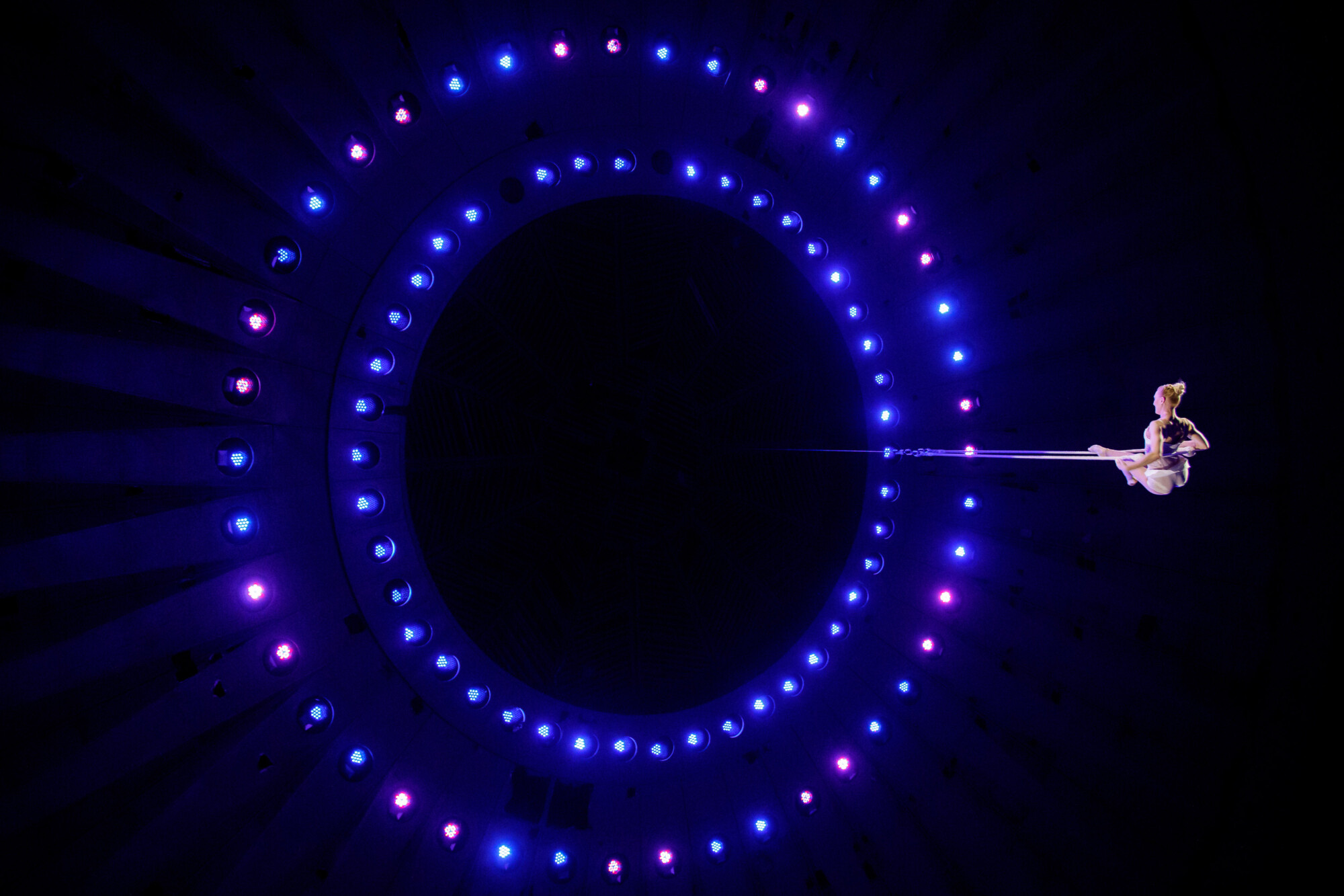 Лучшая репортажная фотосъемка в Москве и регионах. Яркие красивые кадры - Цирк. Фотограф Виктор Боровских