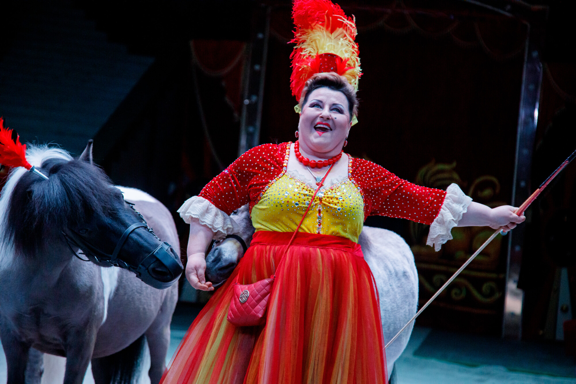 Репортажная фотосъемка в Москве и регионах. Цирк. Фотограф Виктор Боровских