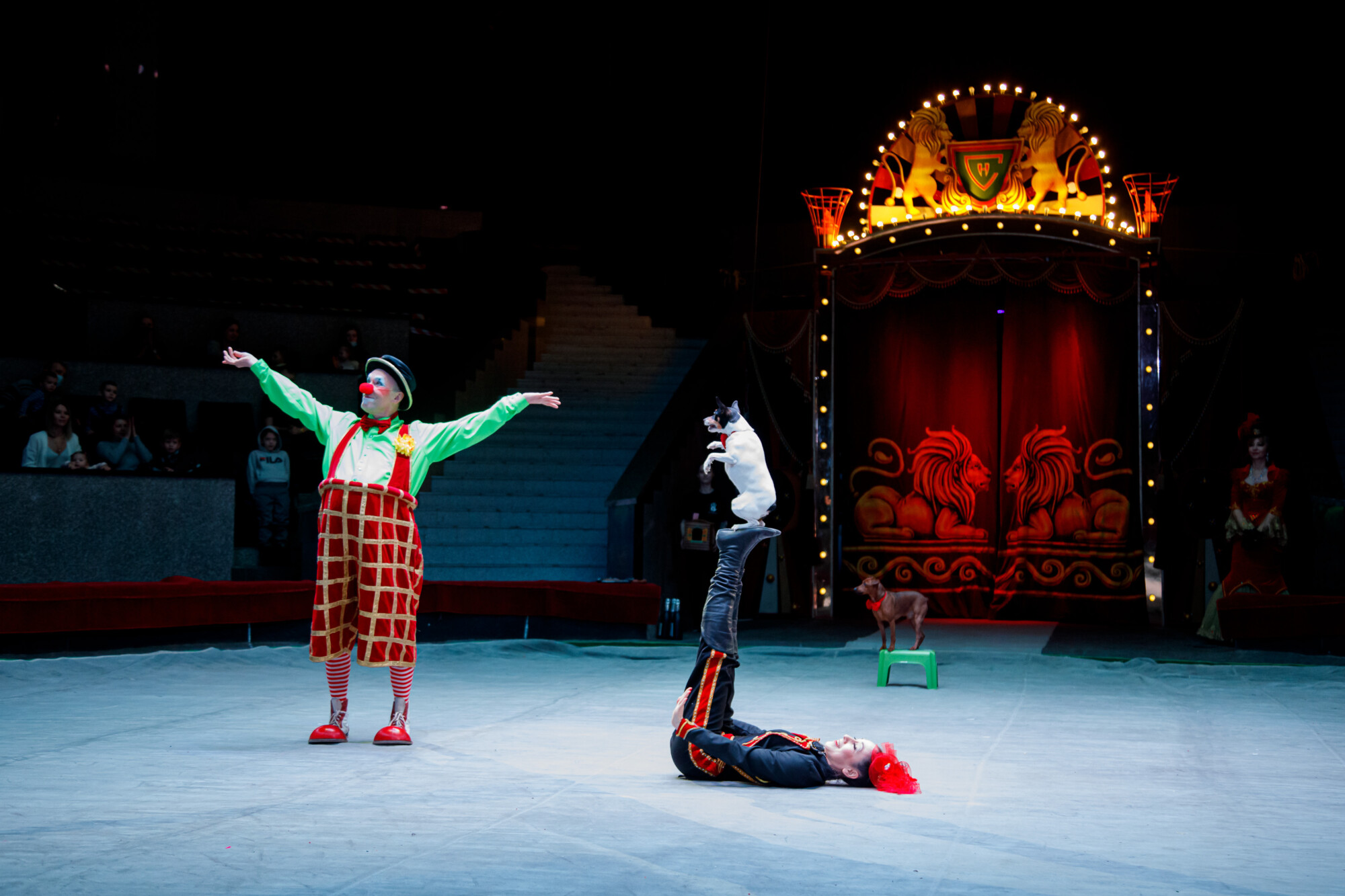 Репортажная фотосъемка в Москве и регионах. Цирк. Фотограф Виктор Боровских